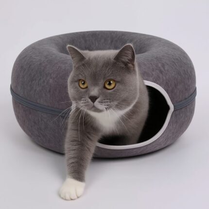 Cama túnel circular