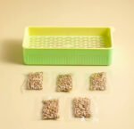 Maceta hidropónica con semillas yerba gatera - Imagen 2