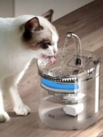 Fuente transparente 2 litros