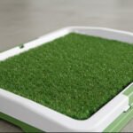 Bandeja de entrenamiento sanitario - Imagen 4